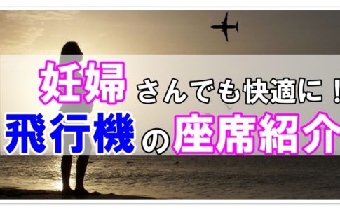 子連れもこれで安心 子供の飛行機暇つぶし対策グッズ10選 飛行機の神様