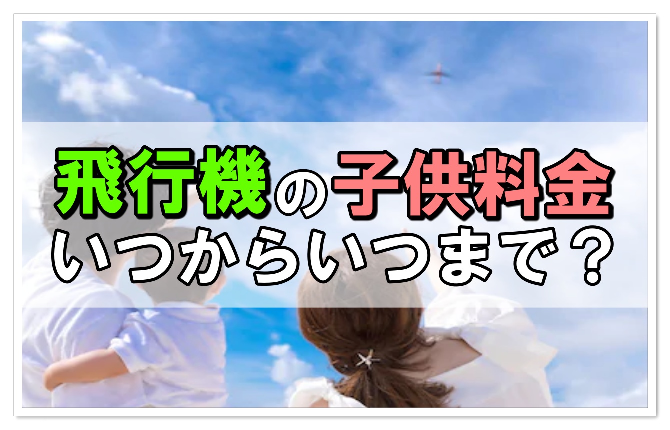 初心者向け 飛行機の子供料金って何歳から何歳までなの 飛行機の神様