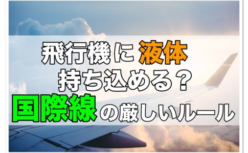 飛行機の機内は乾燥しすぎ 対策方法やおすすめグッズをご紹介 飛行機の神様