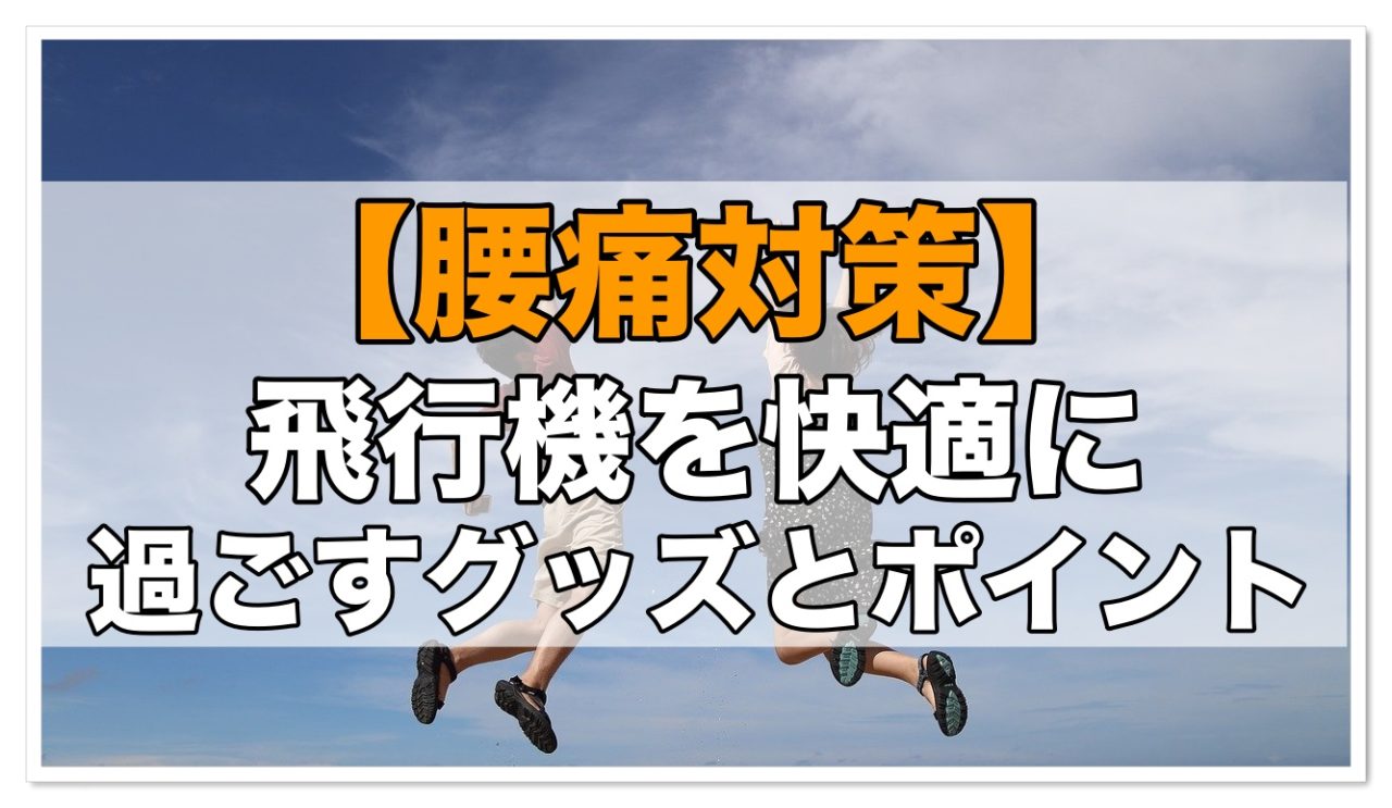 腰痛対策 長時間の飛行機で快適に過ごすためのグッズとポイント 飛行機の神様