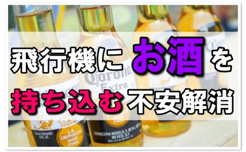 ライターは空港で没収される 持ち込みのルールを徹底解説 飛行機の神様