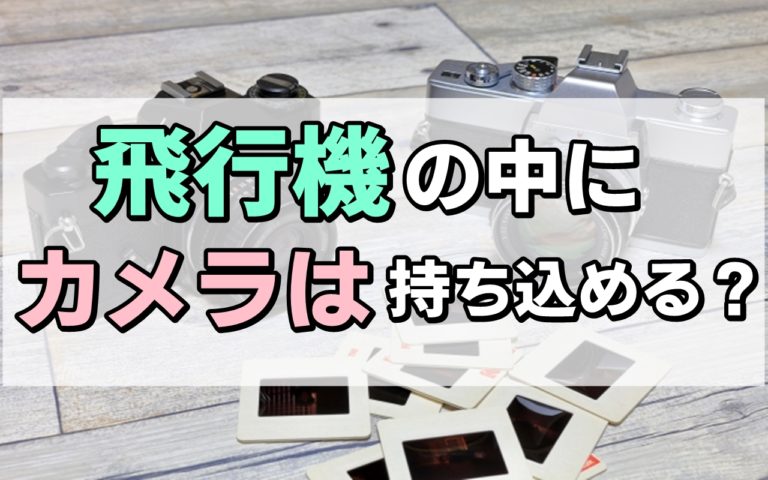 カメラ 飛行機 預けてしまった