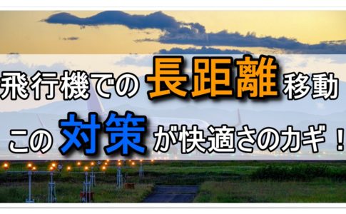 腰痛対策 長時間の飛行機で快適に過ごすためのグッズとポイント 飛行機の神様