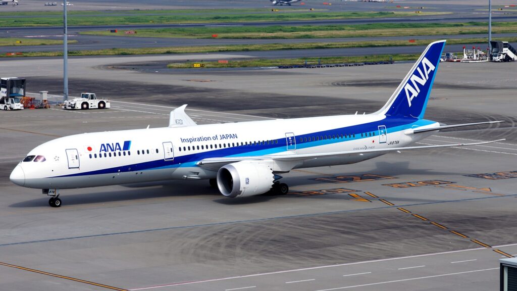 ANAの旅客機(ANA緊急脱出)
