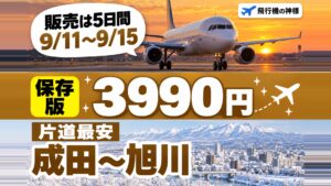 ジェットスターセール3,990円から!対象の7路線と損しない買い方