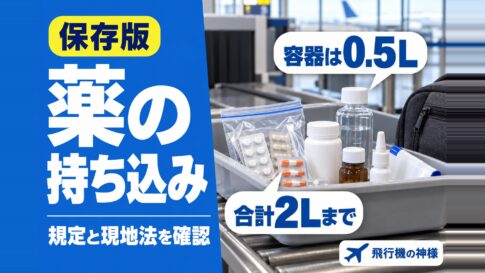 飛行機に薬を持ち込みできるの？細かいルールまで徹底解説！　図の中の文字: 容器は0.5L、合計2Lまで、規定と現地法を確認