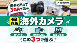 海外旅行のカメラはどう選ぶ?機内持ち込みの方法や街中でのスリ対策も紹介　