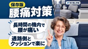 【腰痛対策】長時間の飛行機で快適に過ごすためのグッズとポイント
